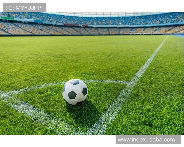 足球阻挡犯规的判罚标准与球场策略分析探讨