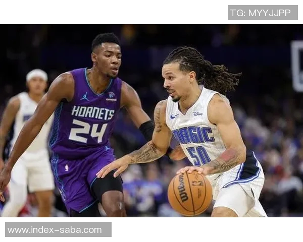 法国与南非的巅峰对决谁将赢得这场激烈的较量